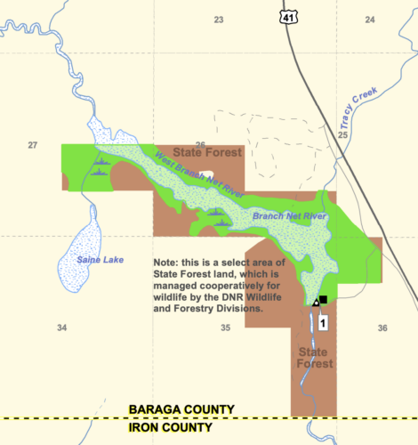 DNR teams up with local entities for net river dam project